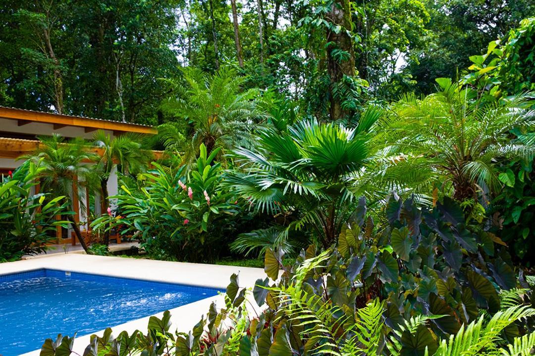 La Paz Del Caribe Adults Only Bed and Breakfast Puerto Viejo de Talamanca Exteriör bild