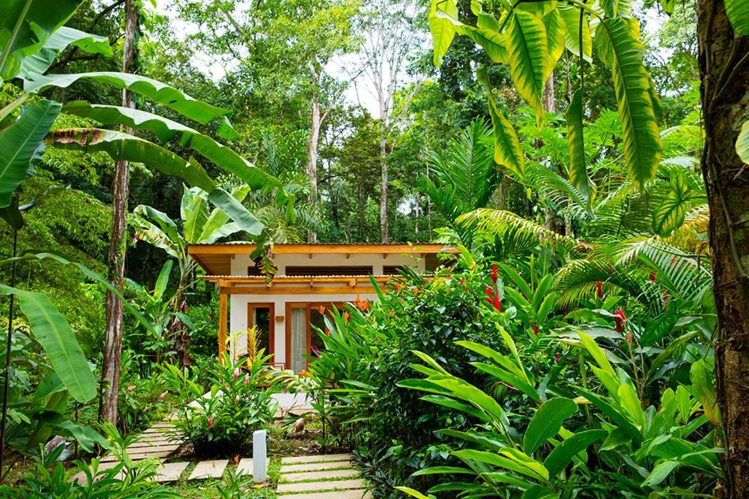 La Paz Del Caribe Adults Only Bed and Breakfast Puerto Viejo de Talamanca Exteriör bild
