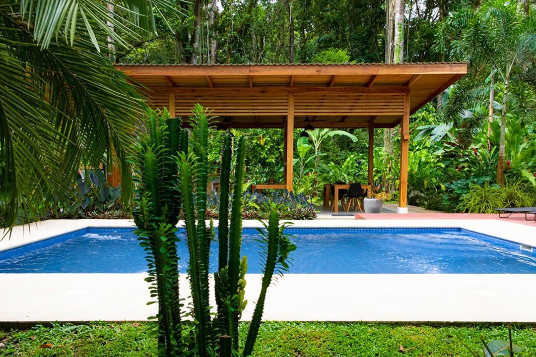 La Paz Del Caribe Adults Only Bed and Breakfast Puerto Viejo de Talamanca Exteriör bild