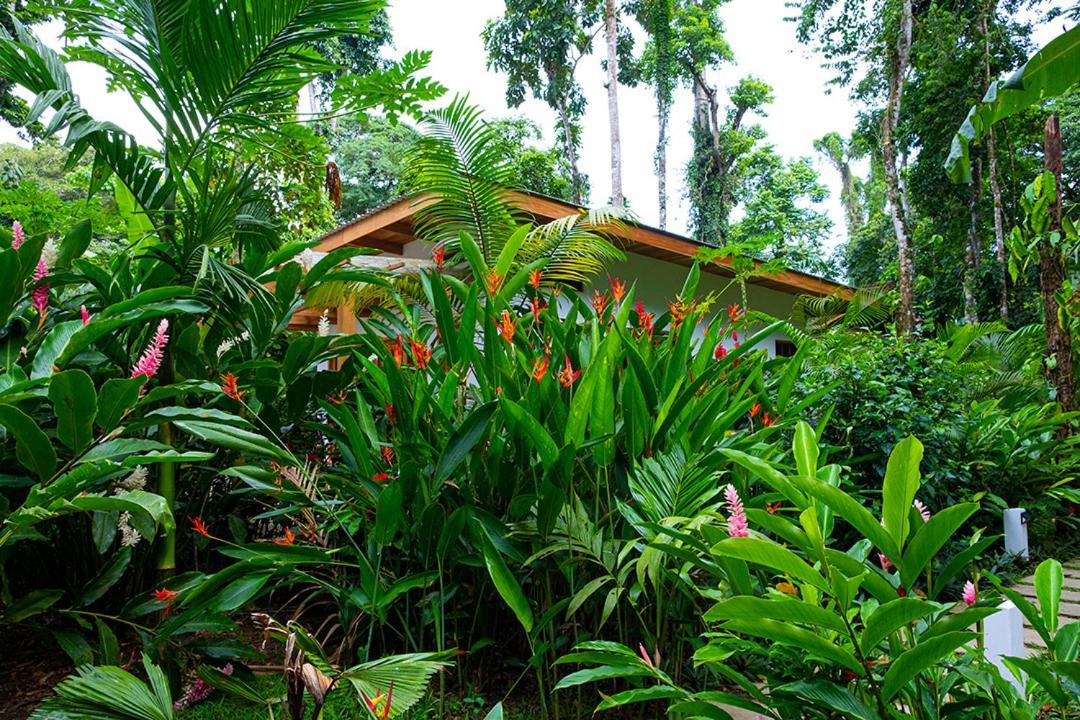 La Paz Del Caribe Adults Only Bed and Breakfast Puerto Viejo de Talamanca Exteriör bild