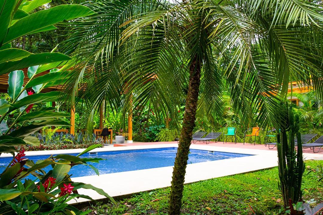 La Paz Del Caribe Adults Only Bed and Breakfast Puerto Viejo de Talamanca Exteriör bild