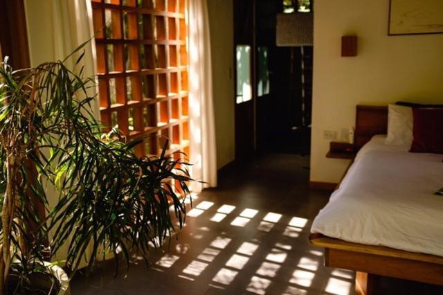 La Paz Del Caribe Adults Only Bed and Breakfast Puerto Viejo de Talamanca Exteriör bild