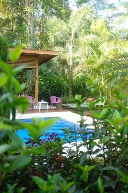 La Paz Del Caribe Adults Only Bed and Breakfast Puerto Viejo de Talamanca Exteriör bild
