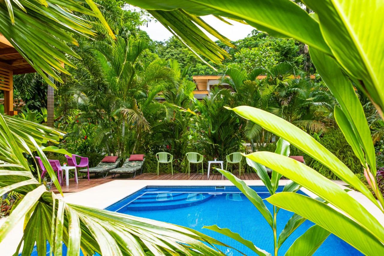 La Paz Del Caribe Adults Only Bed and Breakfast Puerto Viejo de Talamanca Exteriör bild
