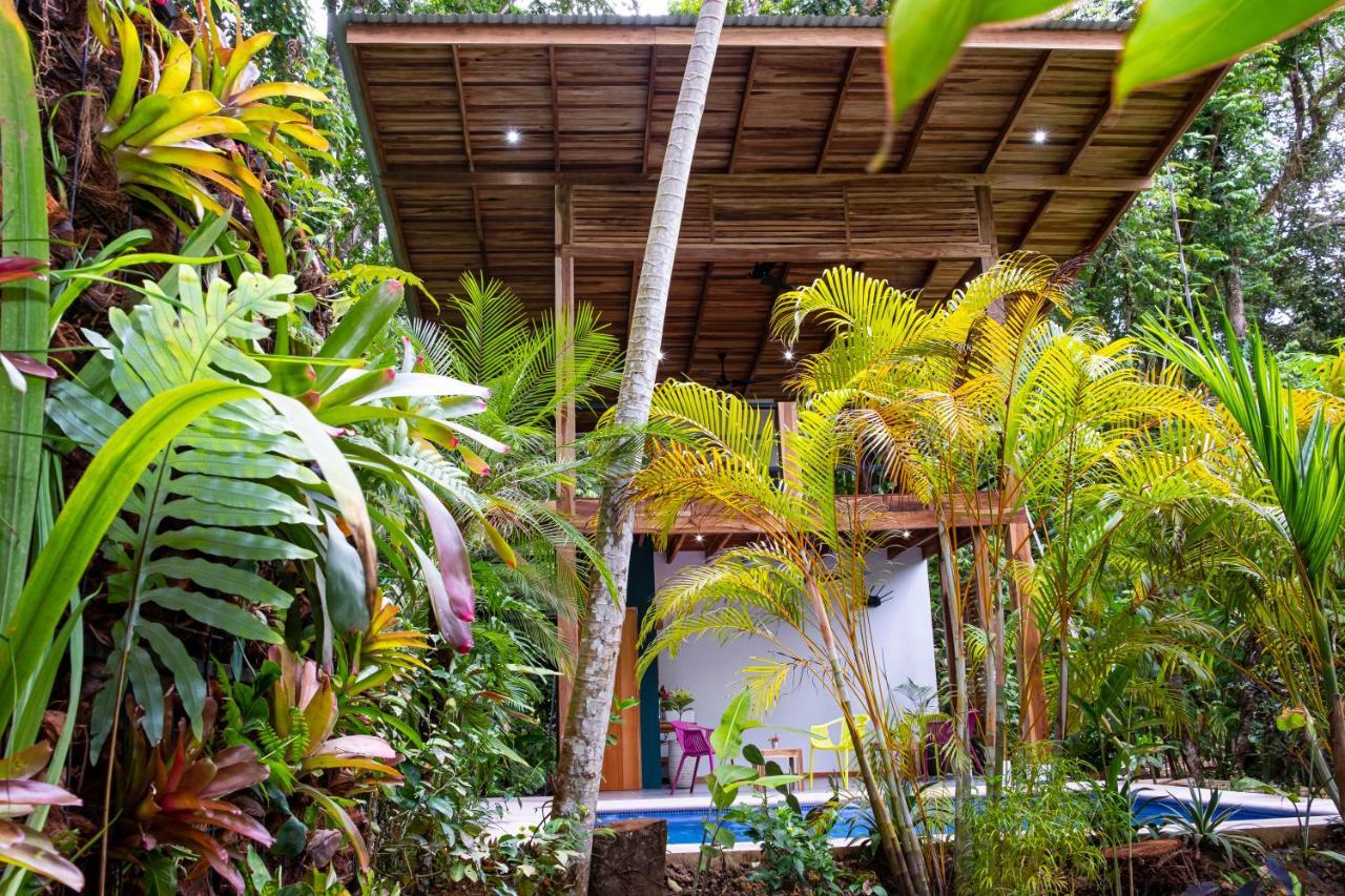 La Paz Del Caribe Adults Only Bed and Breakfast Puerto Viejo de Talamanca Exteriör bild