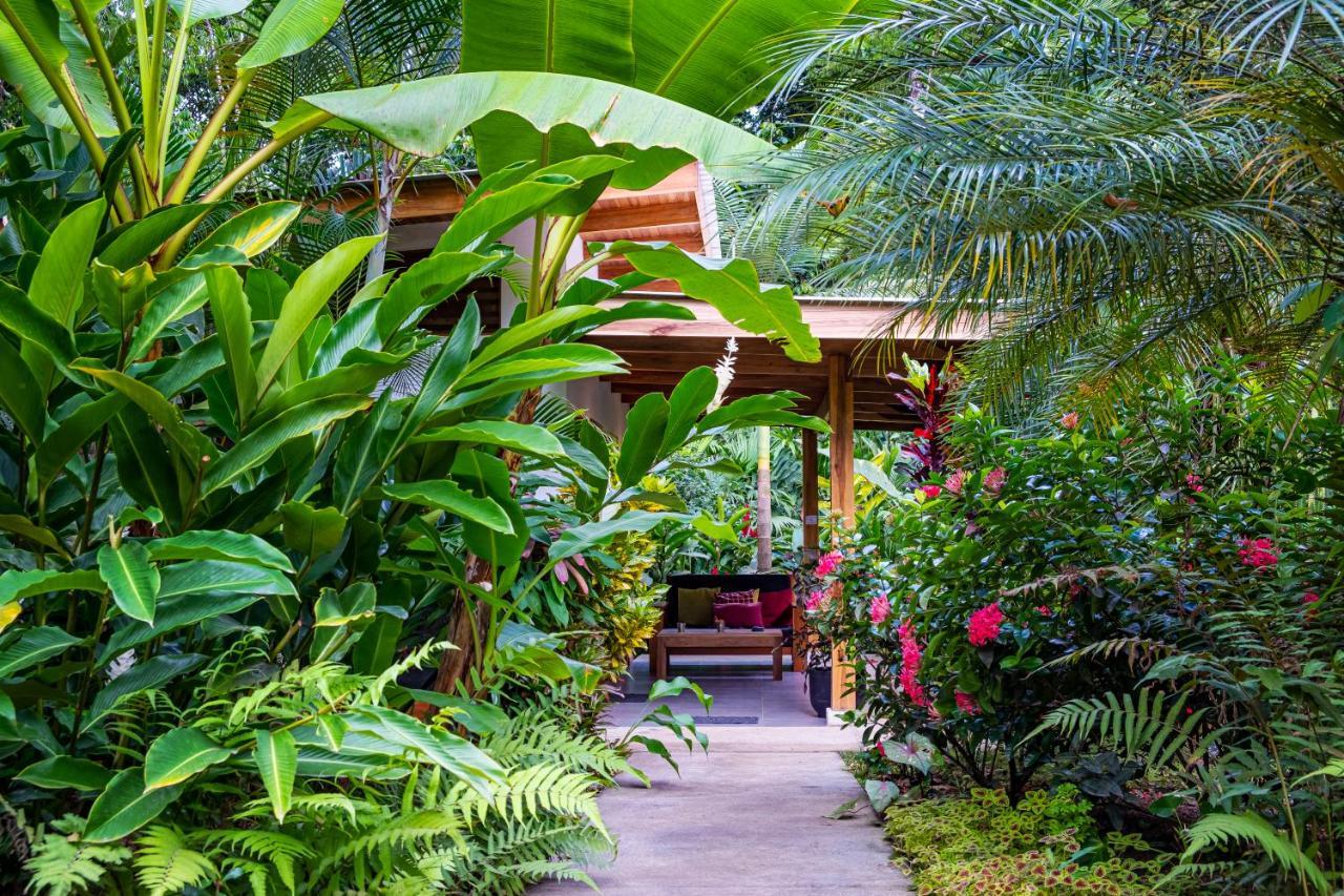 La Paz Del Caribe Adults Only Bed and Breakfast Puerto Viejo de Talamanca Exteriör bild