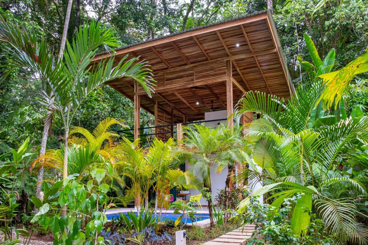 La Paz Del Caribe Adults Only Bed and Breakfast Puerto Viejo de Talamanca Exteriör bild